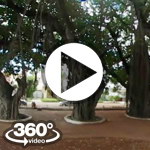 Habana Cuba: Parque Calle 11 y 13 video 360 grados panorámicos